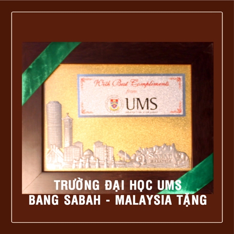 Hoạt động Trung tâm cai nghiện Thanh Đa